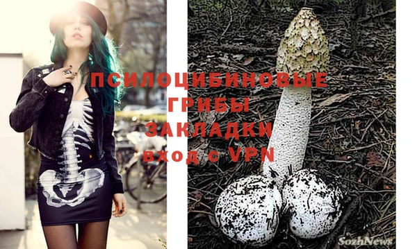 jwh Зеленокумск