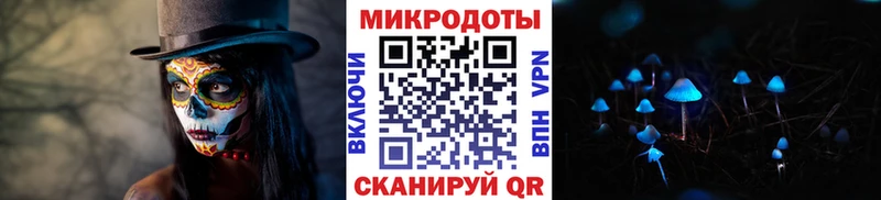 Галлюциногенные грибы прущие грибы Гаврилов-Ям